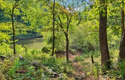 Perry Road, Golconda, IL 62938