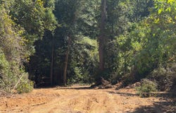 22500 Highway 31, Evergreen, AL 36401