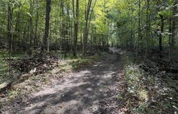 V/L Timber Trail, Prescott, MI 48756