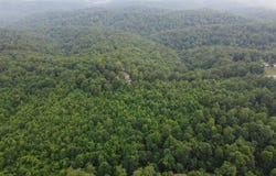 792 Gutter Road, Harriet, AR 72639