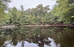 6235 MCKINSTRY Rd, Moscow, TN 38076