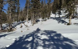 10 Blue Jay Ridge, Taos Ski Valley, NM 87525