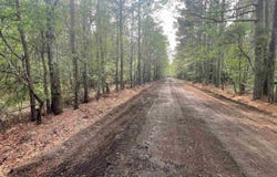 Calhoun 50 Road, Hampton, AR 71744