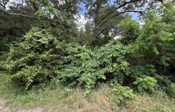 56 Highway, Brockwell, AR 72157