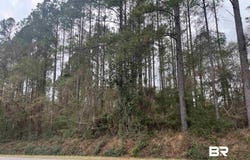 3000 Block N Pine Barren Road, McDavid, FL 32568