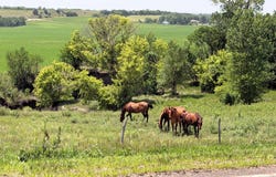 50876 897th Rd, Lynch, NE 68746