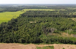 17780 CR 132, Live Oak, FL 32060