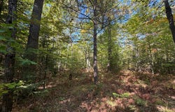 SUNSET LN lot: 1, Eagle River, WI 54521