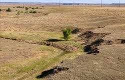 4 CR 82, Wellington, CO 80549