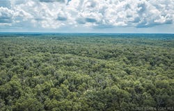 Geronimo Springs-Tract 6, Macks Creek, MO 65786