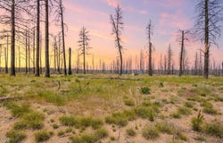 50146 Darlene Way, La Pine, OR 97739