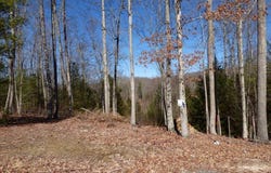 181 ST. THOMAS LANE, DANIELS, WV 25832