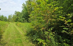 10 1/4 Avenue, Chetek, WI 54728