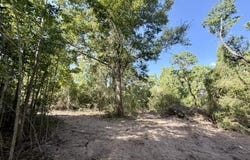 Robert Bateman Road, Franklinton, LA 70438