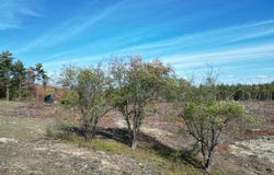 19 N Horseback Road, Burnham, ME 04922