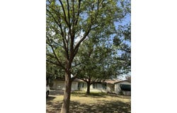 4514 20th Street, Lubbock, TX 79407