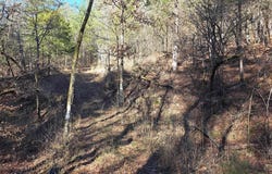 To Be Named, Gillham, AR 71841