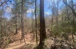Turkey Creek Road, Natchez, MS 39120