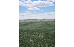 LOT 2A 220TH ST, Rapid City, SD 57719