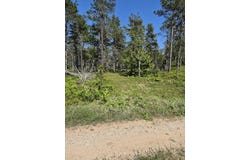 Andrus N Whitefish Point Rd, Paradise, MI 49768