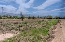 1019 S Clark St, Pampa, TX 79065
