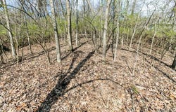740 Forest Avenue, Valley Park, MO 63088