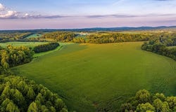 481 RACE GROUND RD, ROCHELLE, VA 22738