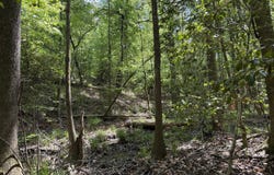 012 George Milling Rd, Cuthbert, GA 39840