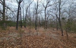Lost Mine Road, Theodosia, MO 65761