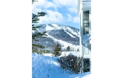 9A Windham Way, Dover, VT 05356