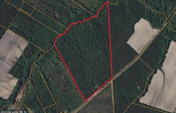 Stilley Town Road, Edward, NC 27821