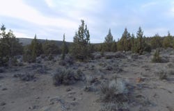 1100 GoldenView Ranch, Bend, OR 97701