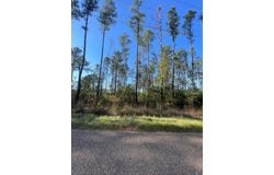 1407 Miller County 3, Doddridge, AR 71834
