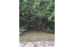 5 Silver Lane, Linn Valley, KS 66040