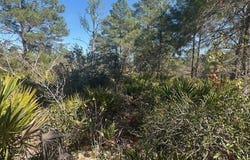 10681 Interlacher Drive, Sebring, FL 33852
