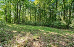 Alden Meadows, Alden, MI 49612