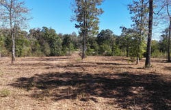 Polk Road 676, Mena, AR 71953