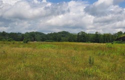 Plantation Drive, Elkins, WV 26241