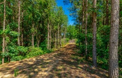 Split Rail Way lot: 1163, Guild, TN 37340