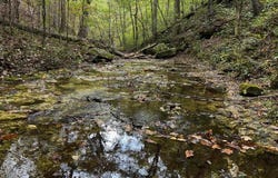 34771 Mo-14, Ava, MO 65608