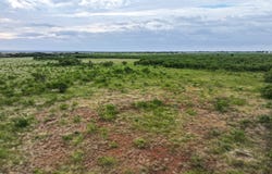 170 Badger Den, Tuscola, TX 79562