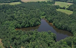 295 County Road 2462, Douglassville, TX 75560
