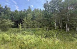 Parcel C Bellaire Road, Baraga, MI 49908