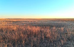 County Road 169, Matheson, CO 80830