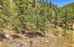 Cold Springs Rd, Nederland, CO 80466