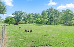 207 Marie Road, Church Point, LA 70525