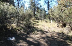 Jaguar Lane, Bonanza, OR 97623