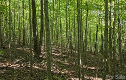113 Meditation Ridge Drive, Nebo, NC 28761
