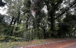 4810 Delashmitt Road, Hixson, TN 37343