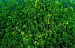 Bices Run Road, Enterprise, WV 26568